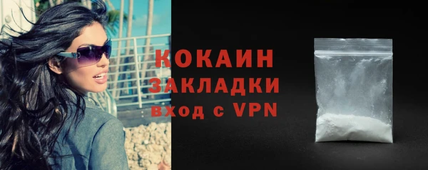 прущие крисы Вяземский
