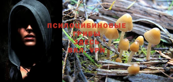 прущие крисы Вяземский