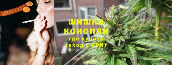 прущие крисы Вяземский