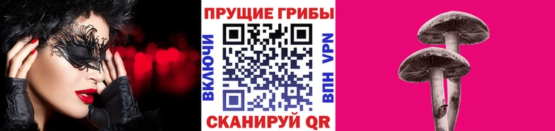 Псилоцибиновые грибы GOLDEN TEACHER  Купить  Лермонтов 