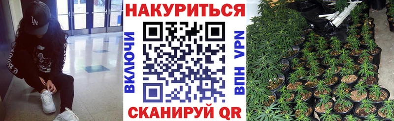 Купить  Лермонтов  Марихуана ГИДРОПОН 